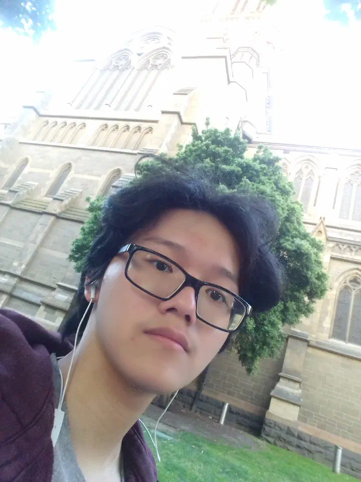 Son Nguyen Hoang
